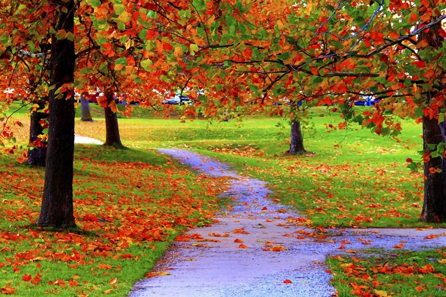 Arnold Chevrolet West Babylon Outdoors